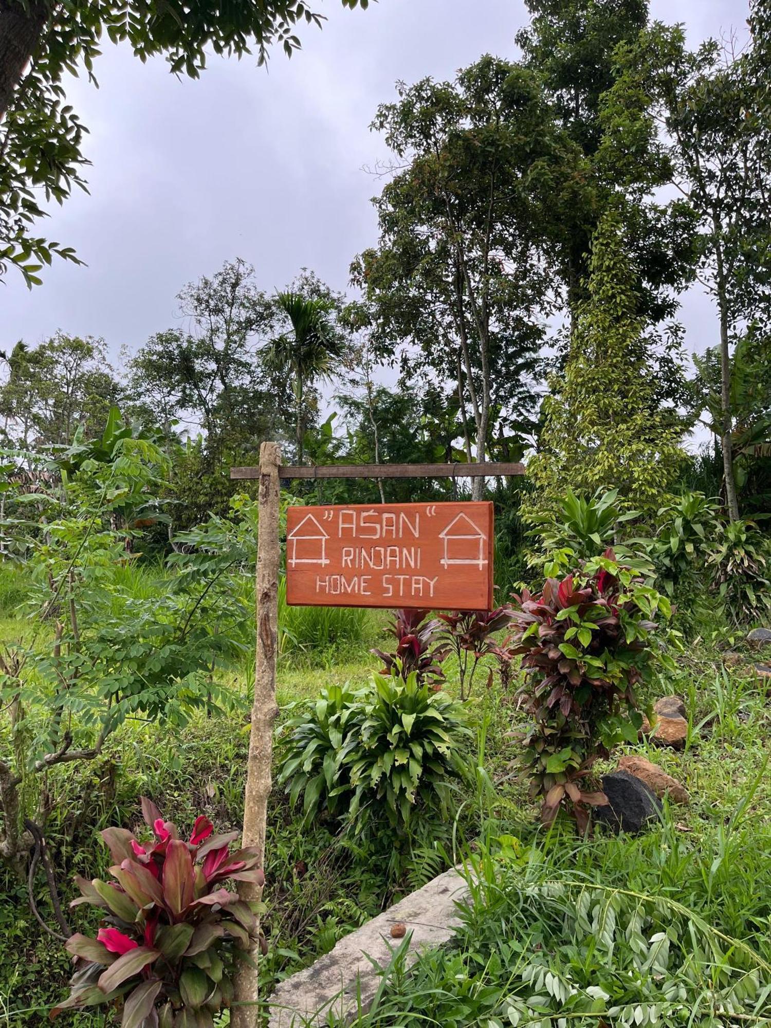 Asan Rinjani Homestay Tetebatu Dış mekan fotoğraf
