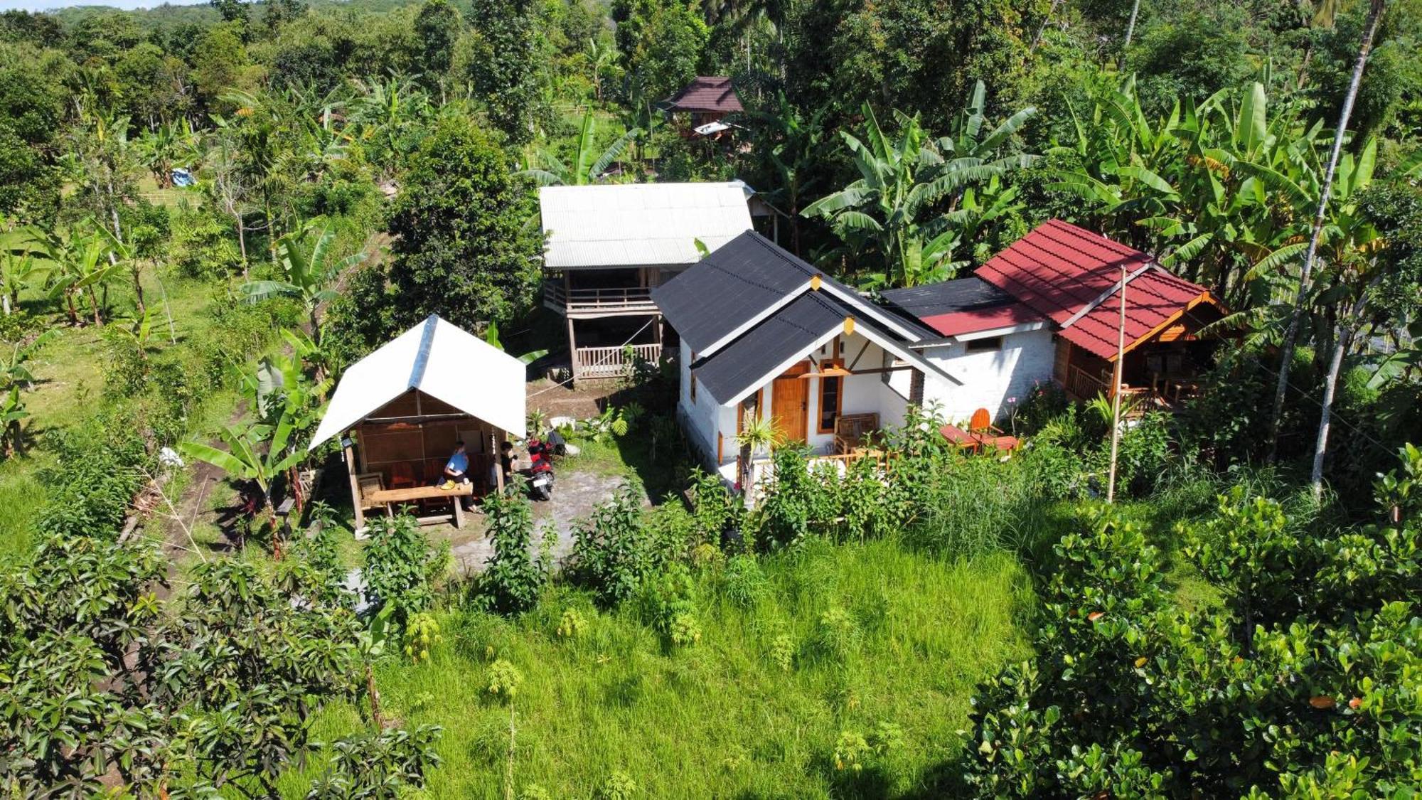 Asan Rinjani Homestay Tetebatu Oda fotoğraf
