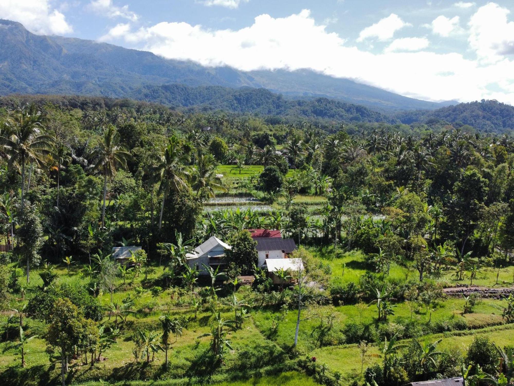 Asan Rinjani Homestay Tetebatu Oda fotoğraf